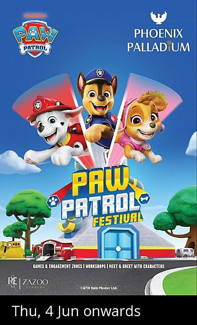 Paw Patrol Fest