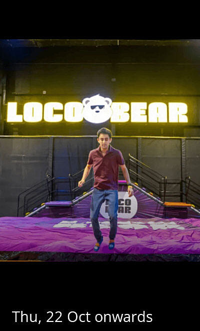 Loco Bear Bangalore