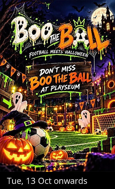Boo The Ball at Playseum 