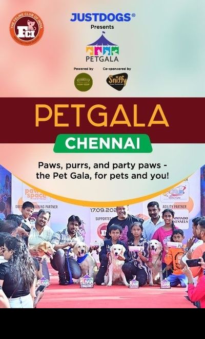 PETGALA Chennai