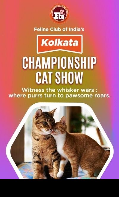 FCI Cat Show Kolkata