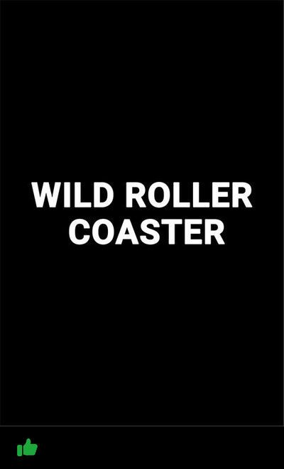 Wild Roller Coaster