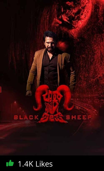Black Sheep