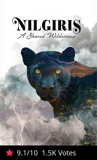 Nilgiris: A Shared Wilderness