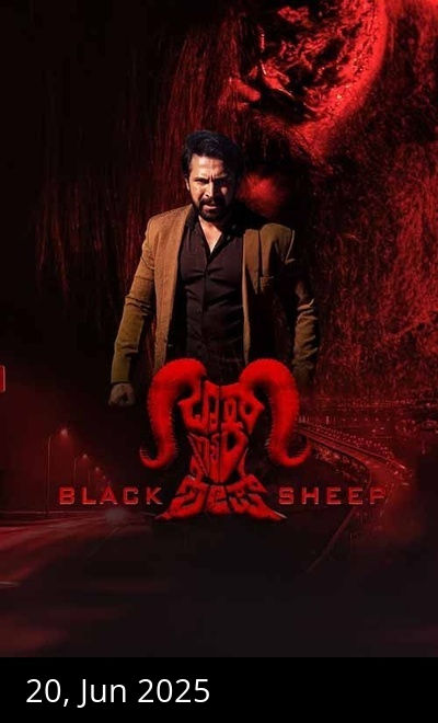 Black Sheep