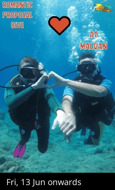 Romantic Proposal Dive Exclusively For Couple