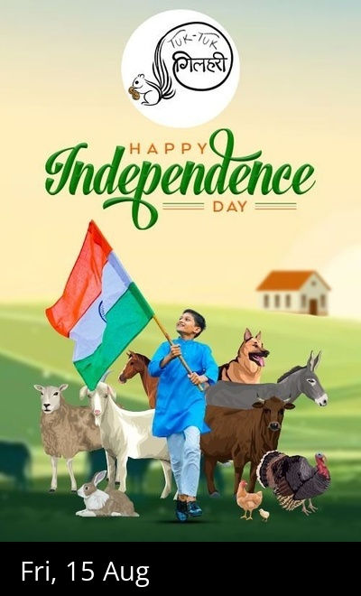 INDEPENDENCE DAY