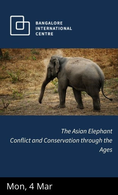 The Asian Elephant 