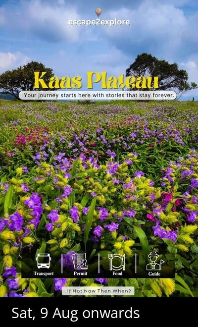 Kaas Plateau
