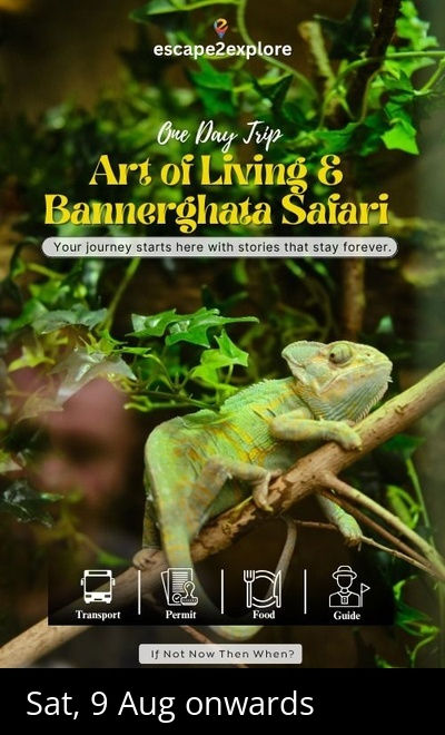 Art of Living & Bannerghatta Safari One Day Trip