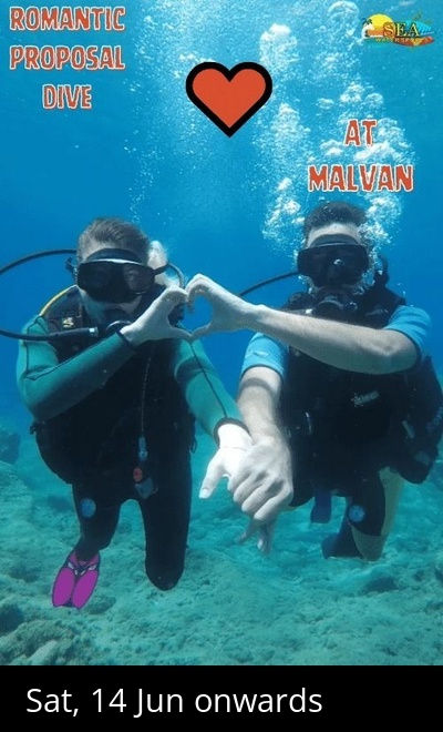 Romantic Proposal Dive Exclusively For Couple