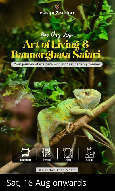 Art of Living & Bannerghatta Safari One Day Trip