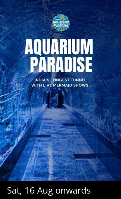 Aquarium Paradise Bangalore