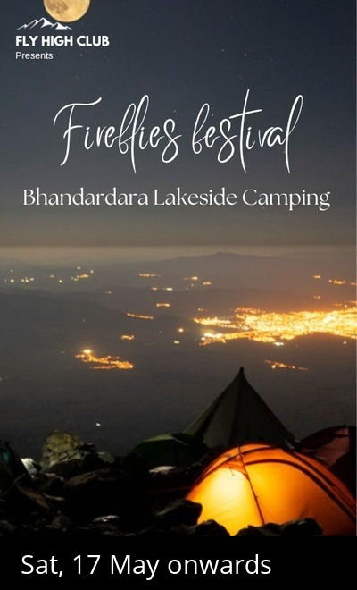 Fireflies Festival