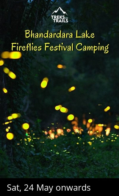 Bhandardara Fireflies Forest Camping