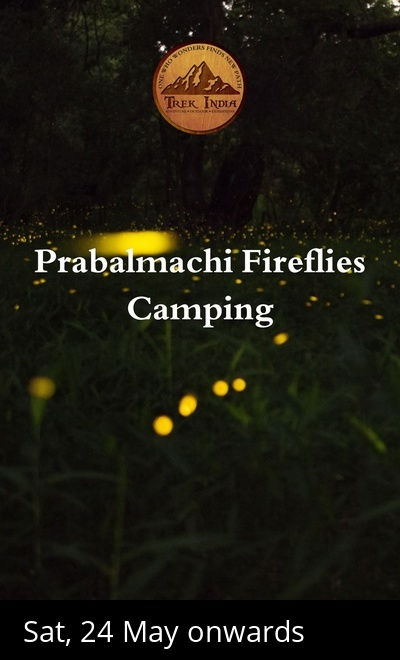 Prabalmachi Fireflies Camping - Trek India