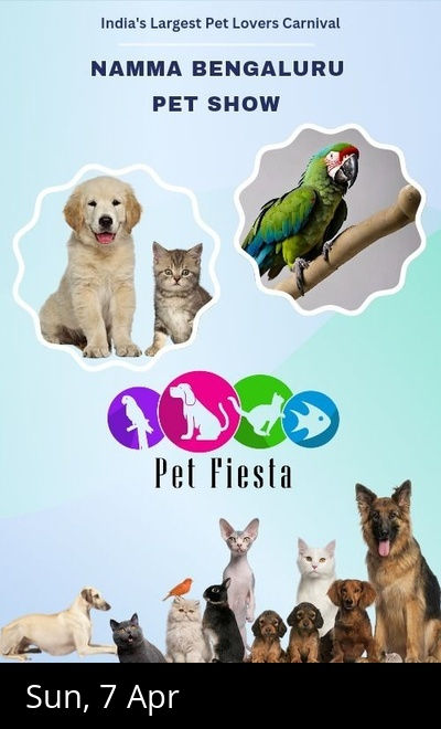 Pet Fiesta