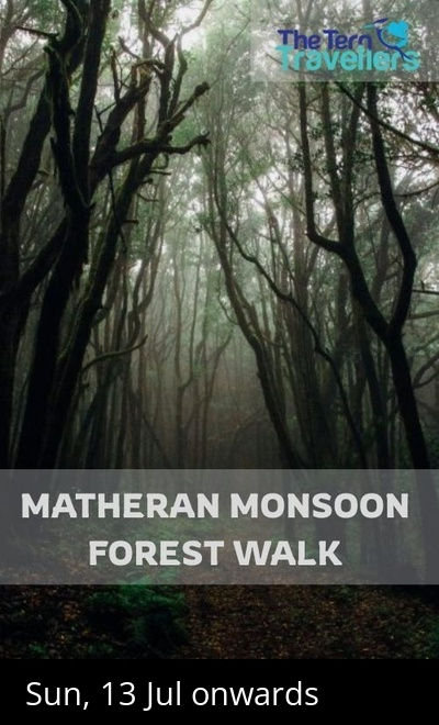 Matheran Monsoon Forest Walk