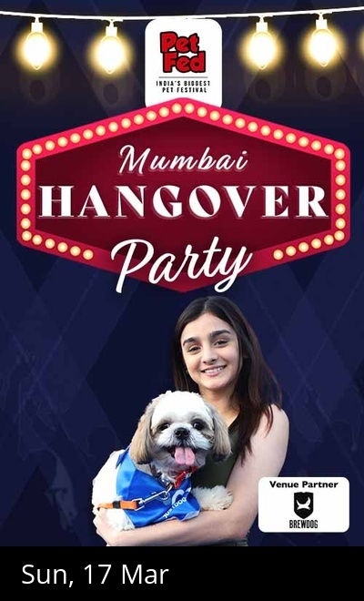 Mumbai Hangover Party