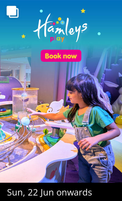 Hamleys Play