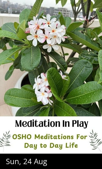 Meditation in Play