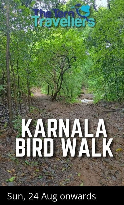 Karnala Monsoon Trail - The Tern Travellers