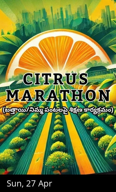 Citrus Marathon 2025