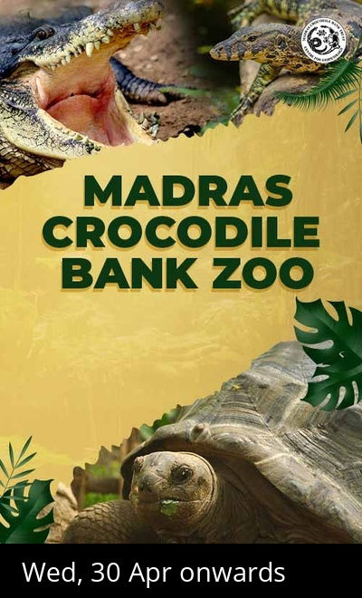 Madras Crocodile Bank Zoo Entry