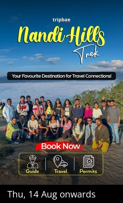 Nandi Hills Sunrise Trek by Tripbae