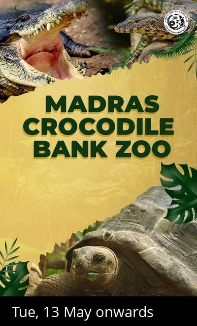 Madras Crocodile Bank Zoo Entry