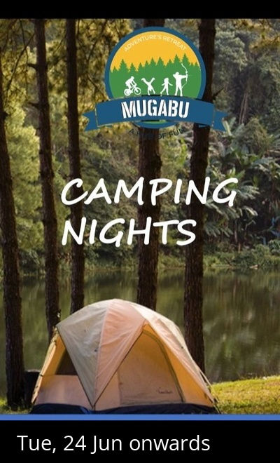 CAMPING NIGHTS