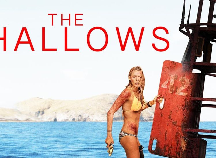 Watch The Shallows Movie Online Buy Rent The Shallows On BMS Stream