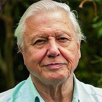 Jane Elizabeth Ebsworth Oriel