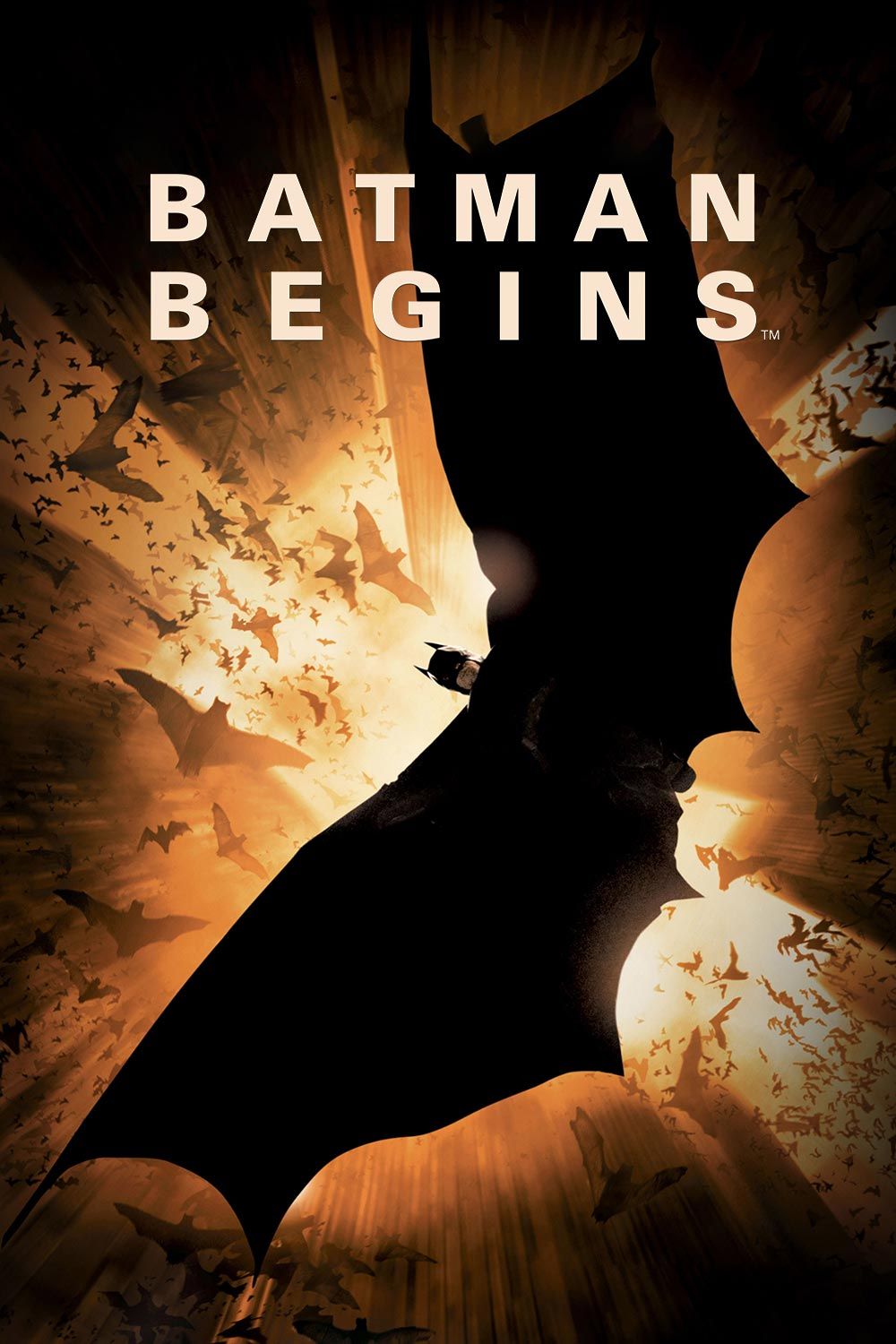 Watch Batman Begins Online