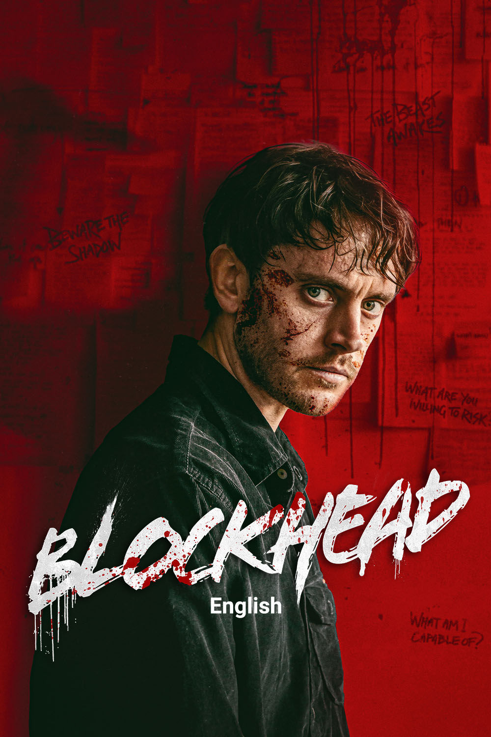 Watch Blockhead Online