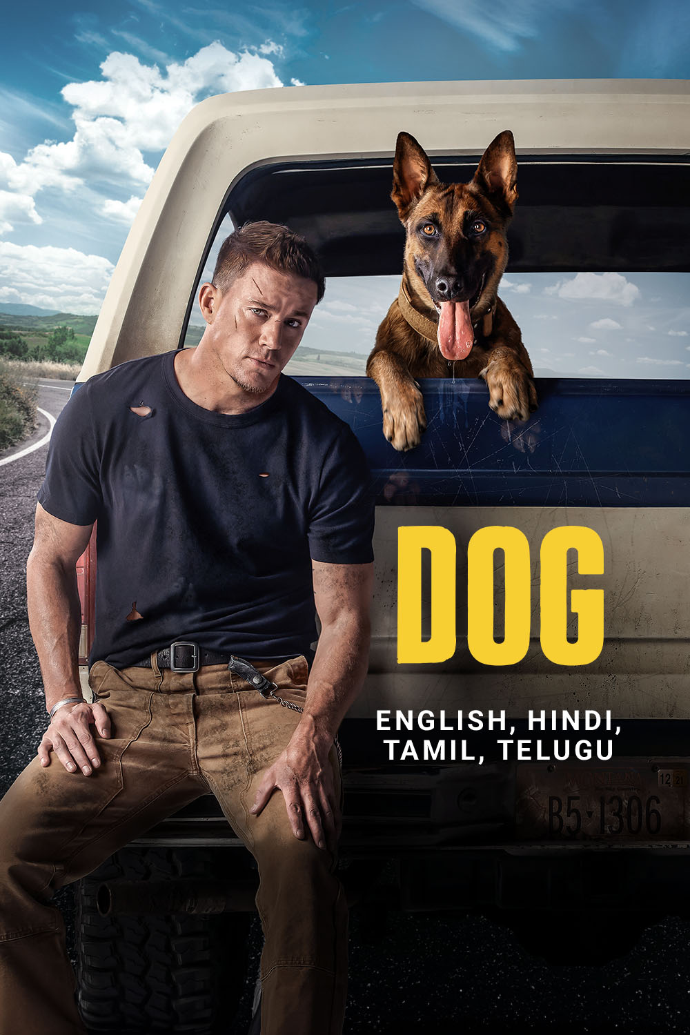 Watch Dog Online