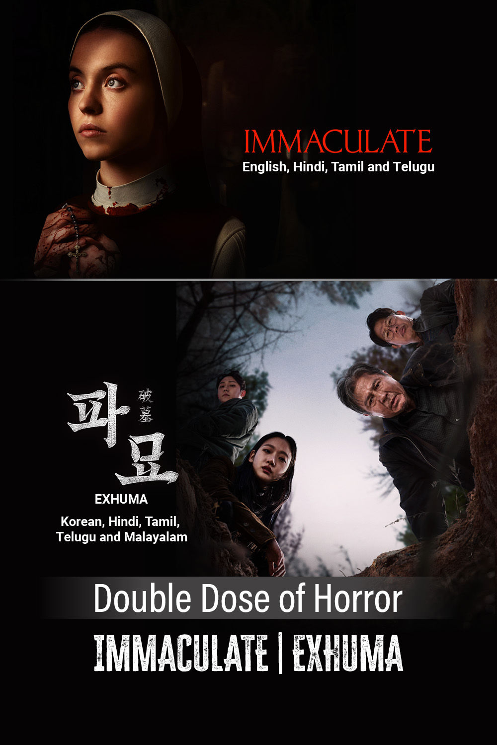 Watch Double Dose of Horror: Exhuma & Immaculate Online