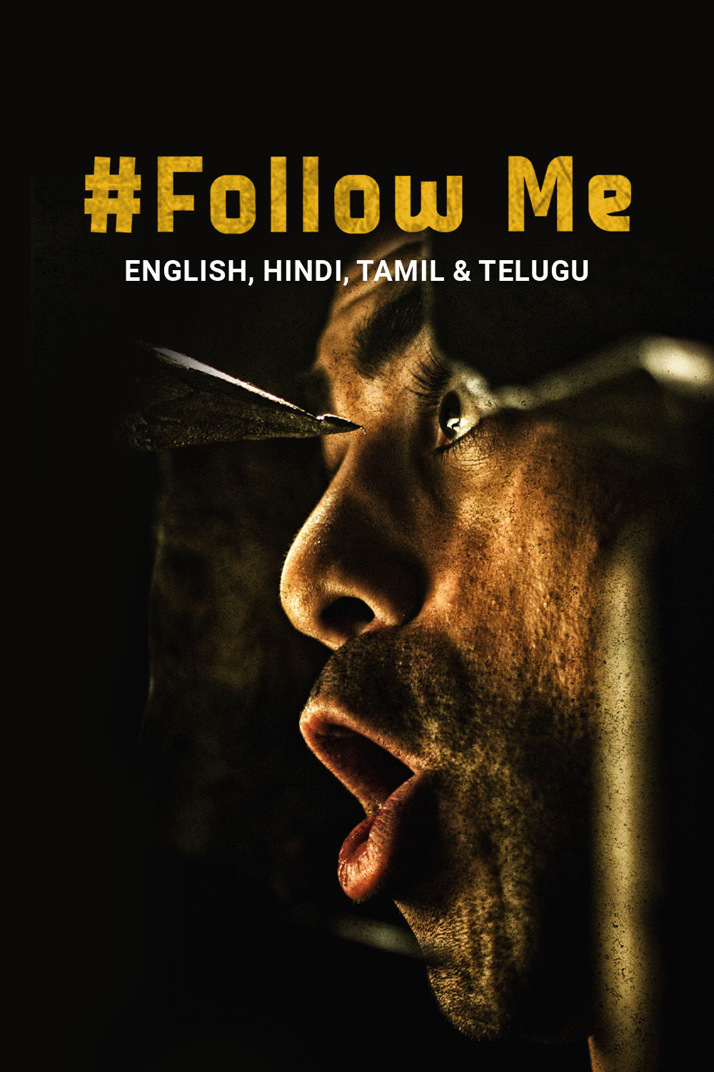 Watch Follow Me Online