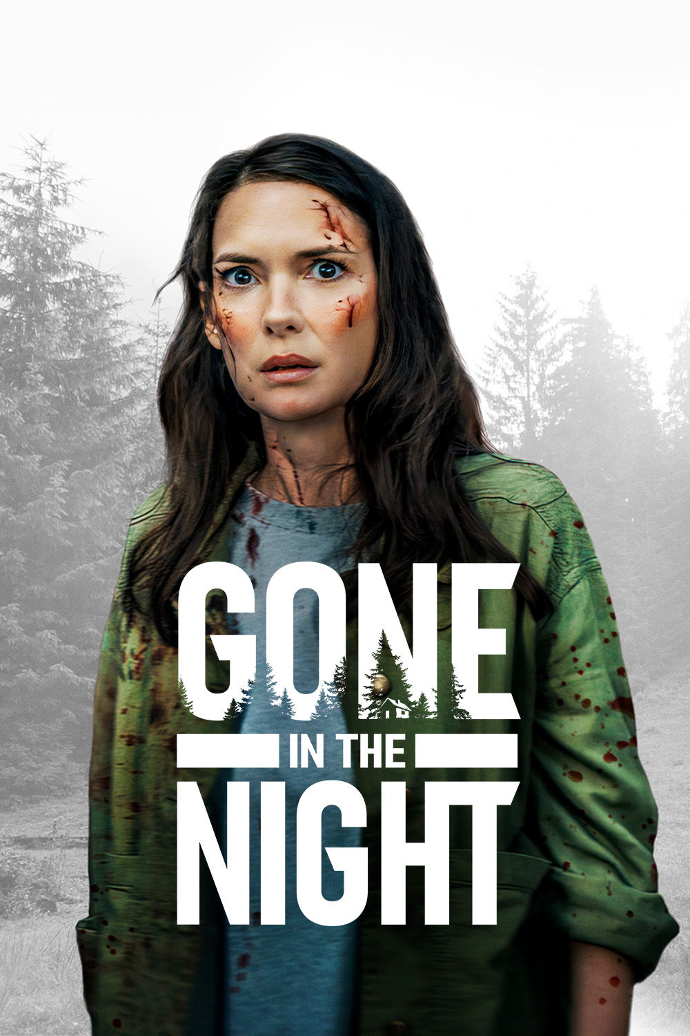 Watch Gone in the Night Online