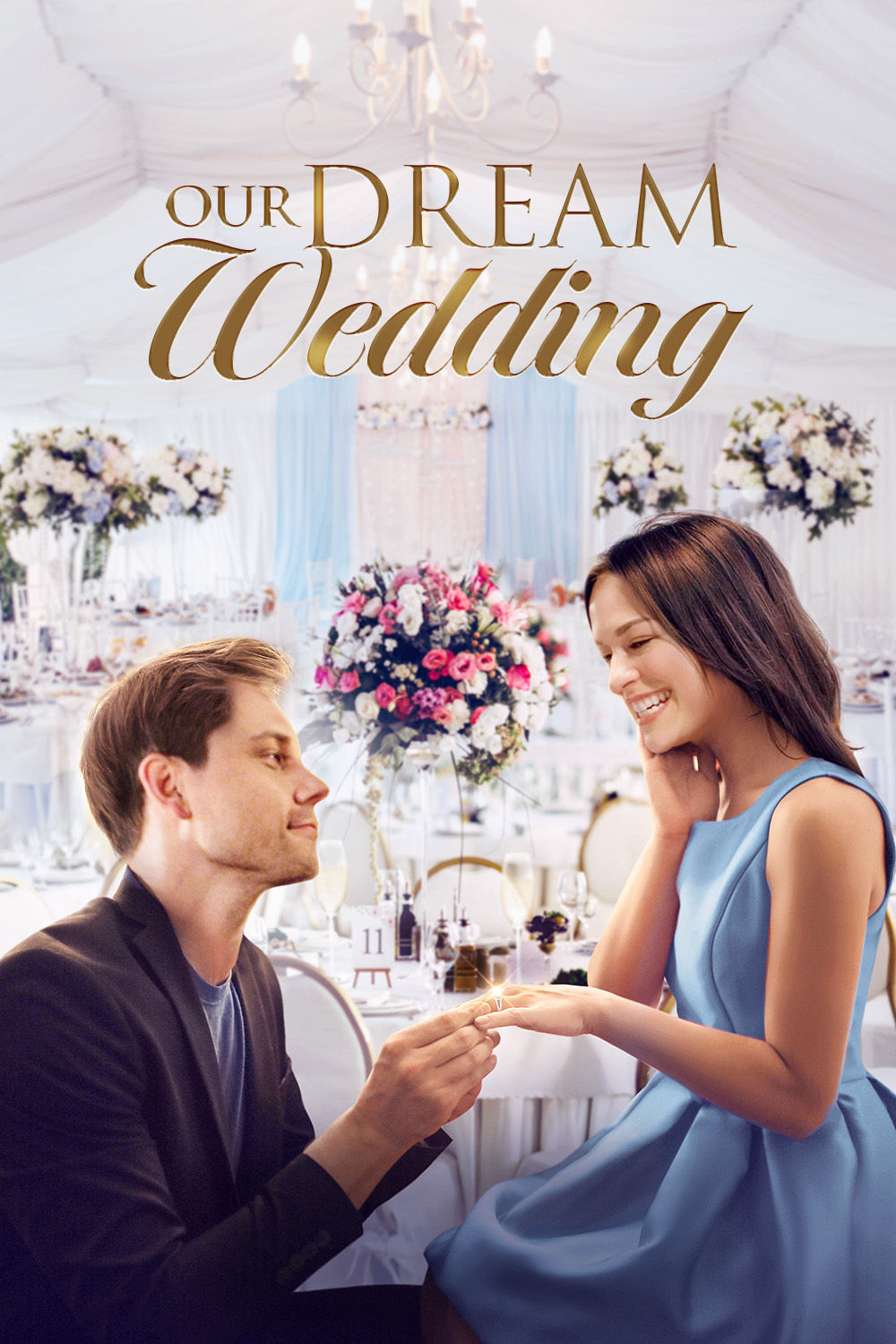 Watch Our Dream Wedding Online