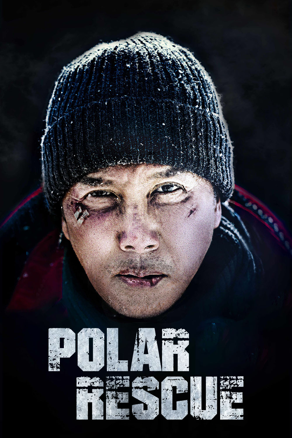 Watch Polar Rescue Online