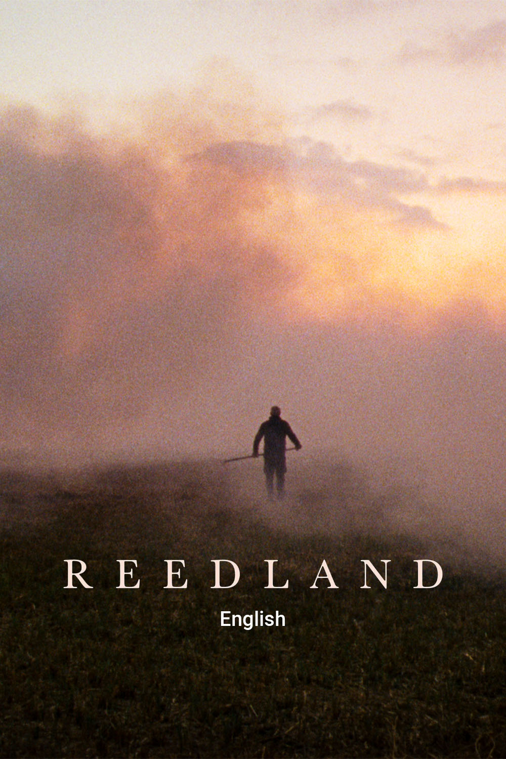 Watch Reedland Online