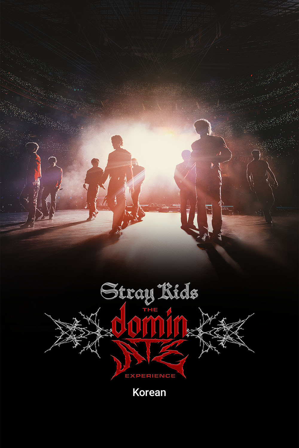 Watch Stray Kids: The dominATE Experience Movie Online | Buy Rent