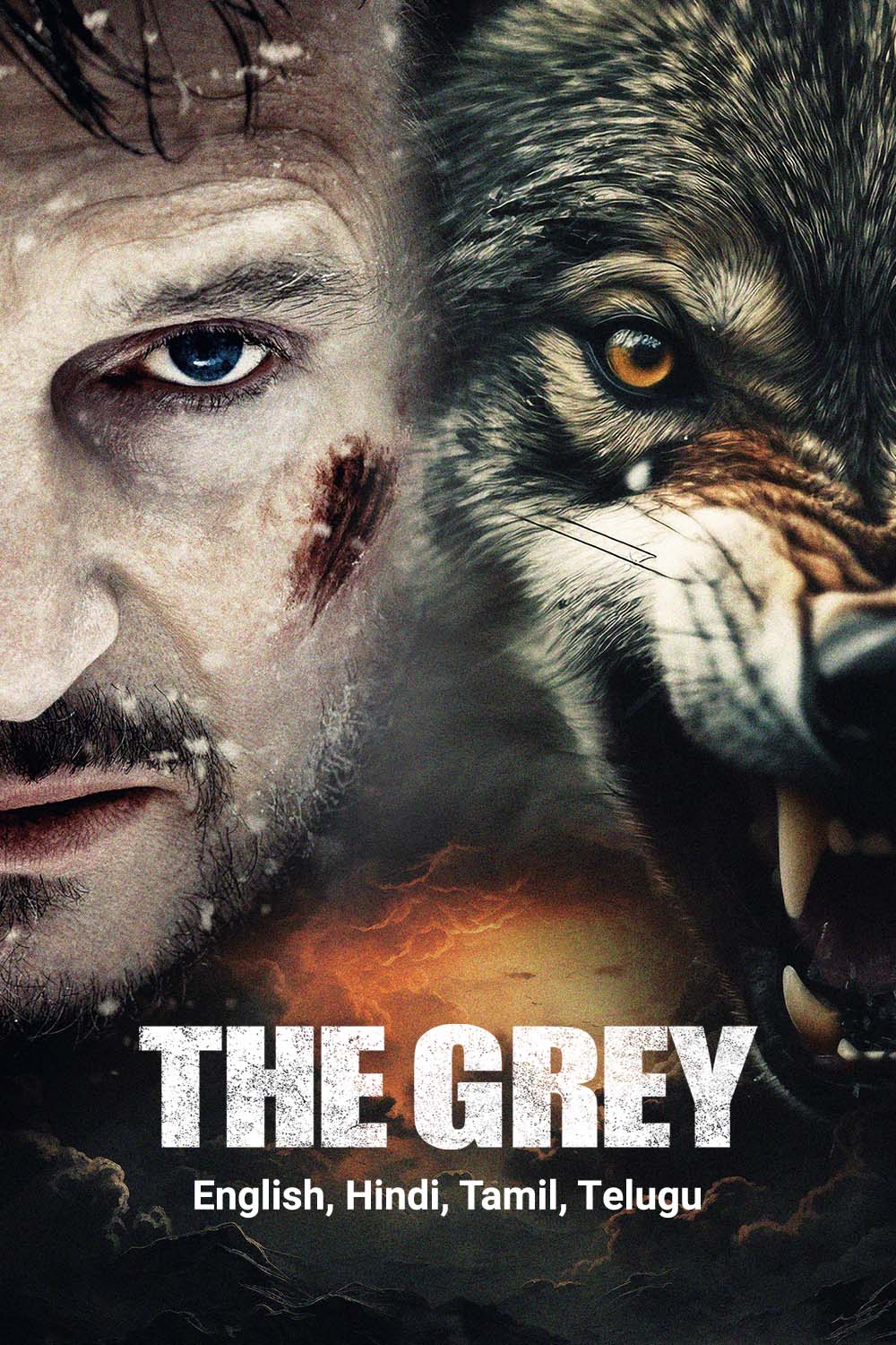 Watch The Grey Online