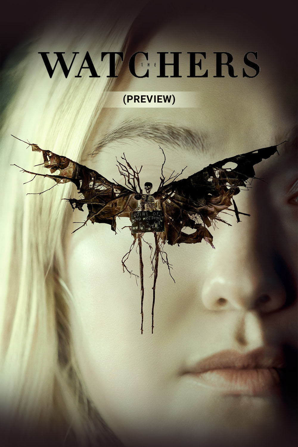 Watch The Watchers (Preview) Online