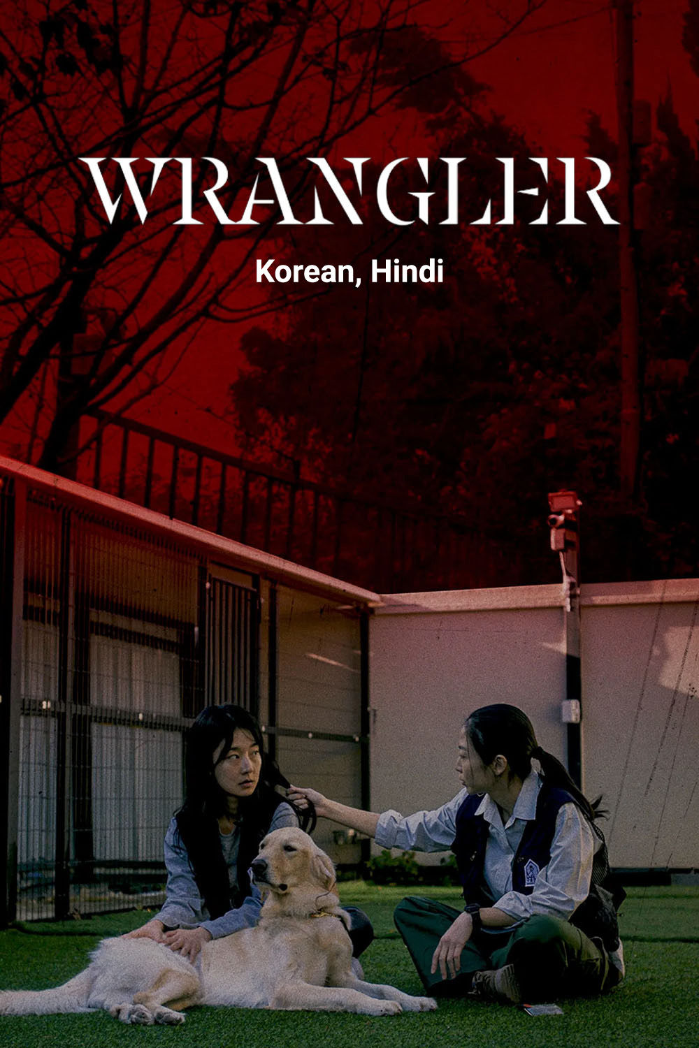 Watch Wrangler Online