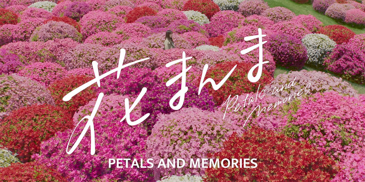 Petals and Memories