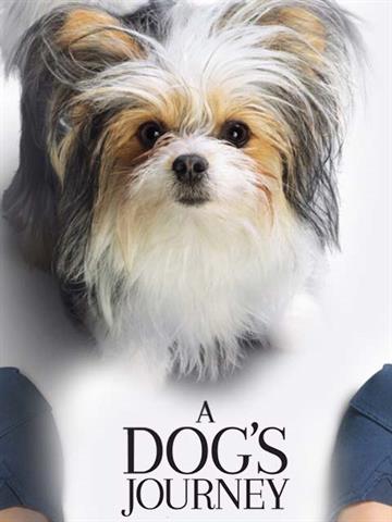 A Dog`s Journey