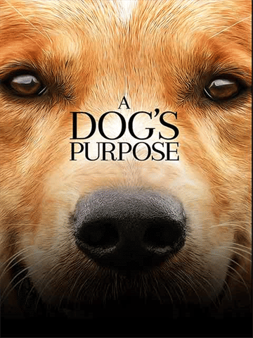 A Dog`s Purpose