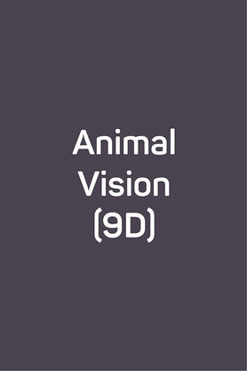 Animal Vision (9D)